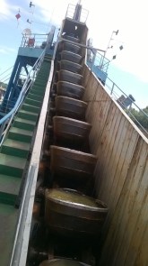 bager_vedricar_13