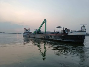 samohotka_334